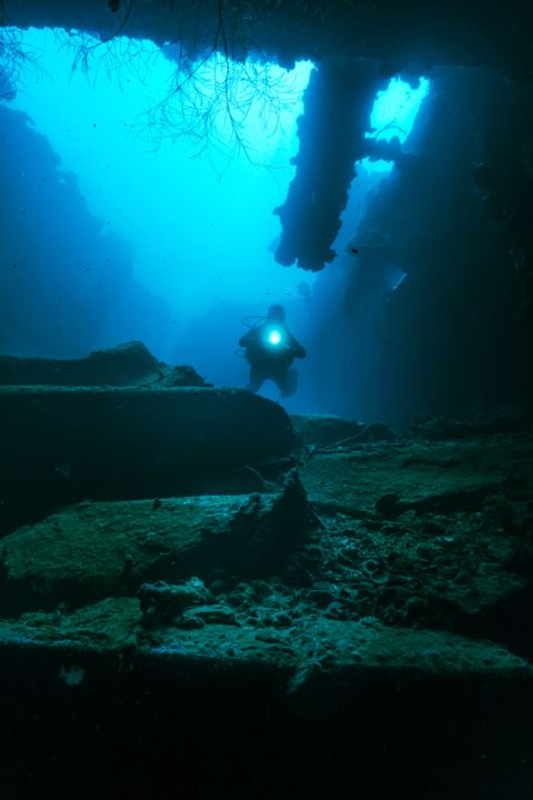 Unterwasserfotografie - Akitzushima Shipwreck underwaterphotography